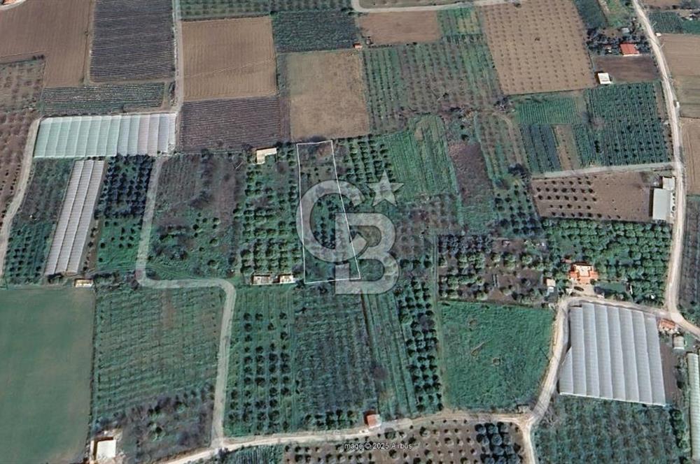 Menemen Emiralem Yayla Mah. Müstakil Parsel Tarla