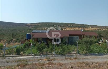 CB İYA DAN TÜRKELLİ DE İÇİNDE EVİ OLAN EŞYALI SATILIK HOBİ BAHÇESİ
