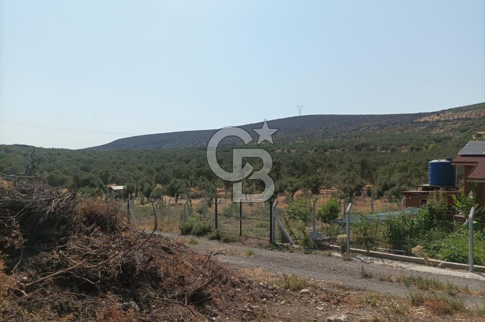 CB İYA DAN TÜRKELLİ DE İÇİNDE EVİ OLAN EŞYALI SATILIK HOBİ BAHÇESİ