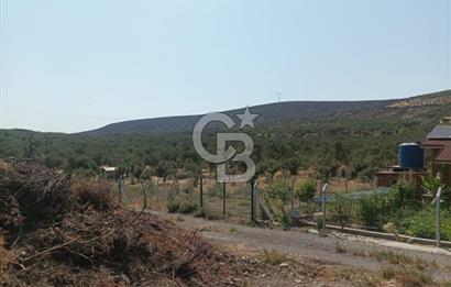 CB İYA DAN TÜRKELLİ DE İÇİNDE EVİ OLAN EŞYALI SATILIK HOBİ BAHÇESİ