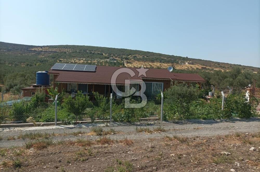 CB İYA DAN TÜRKELLİ DE İÇİNDE EVİ OLAN EŞYALI SATILIK HOBİ BAHÇESİ