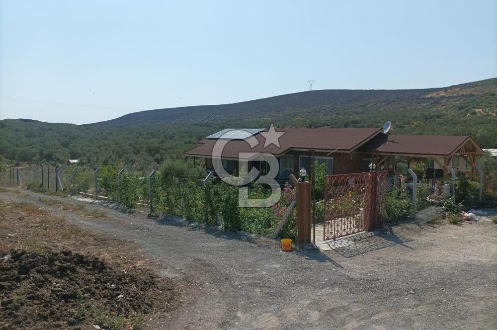 CB İYA DAN TÜRKELLİ DE İÇİNDE EVİ OLAN EŞYALI SATILIK HOBİ BAHÇESİ