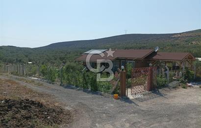 CB İYA DAN TÜRKELLİ DE İÇİNDE EVİ OLAN EŞYALI SATILIK HOBİ BAHÇESİ