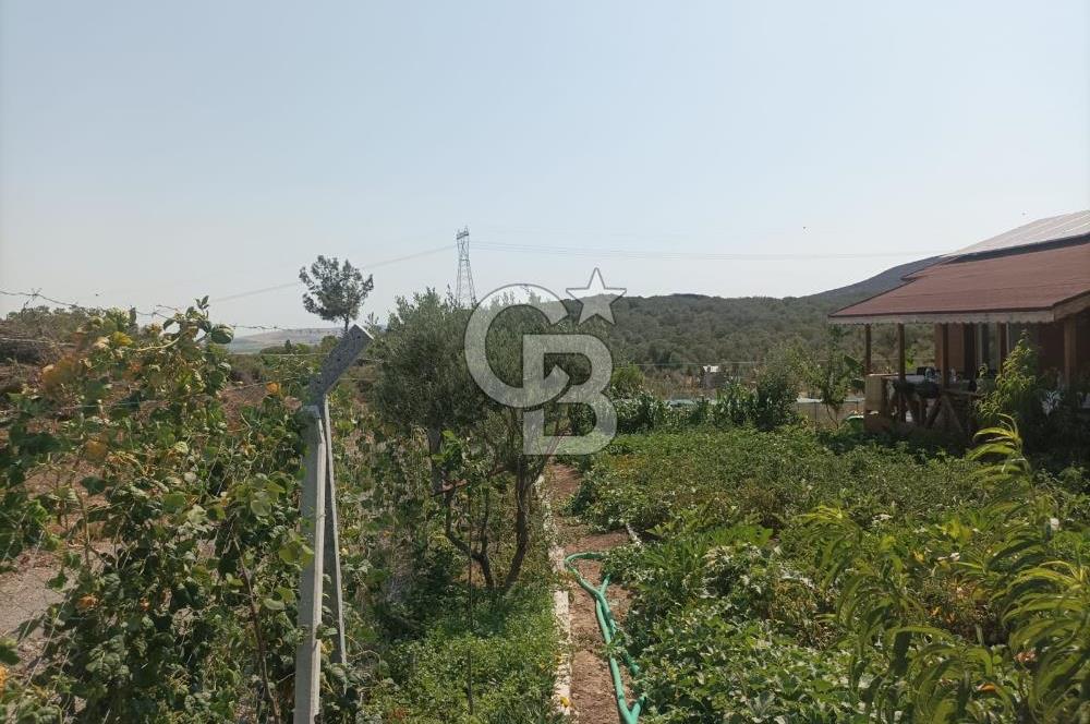 CB İYA DAN TÜRKELLİ DE İÇİNDE EVİ OLAN EŞYALI SATILIK HOBİ BAHÇESİ