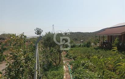 CB İYA DAN TÜRKELLİ DE İÇİNDE EVİ OLAN EŞYALI SATILIK HOBİ BAHÇESİ