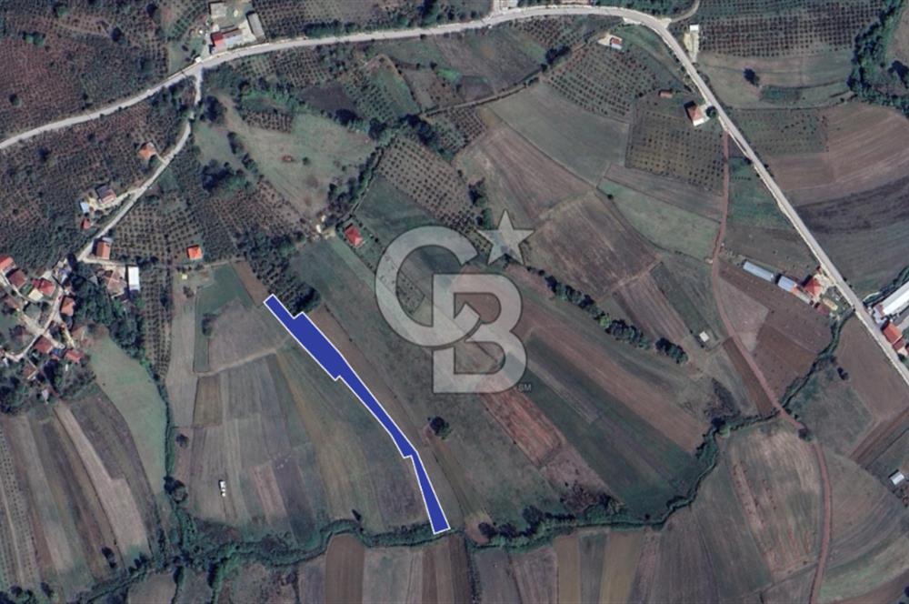 KANDIRA EĞERCİLİ YOLA BİR PARSEL 3228 m2 SATILIK ARAZİ 