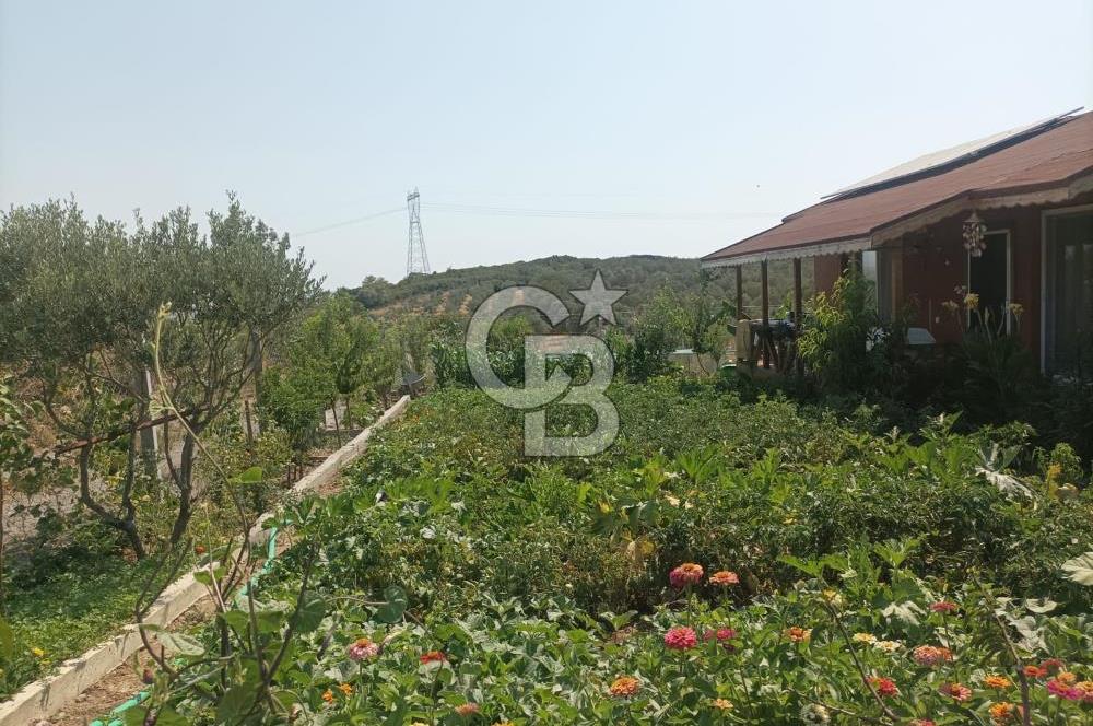 CB İYA DAN TÜRKELLİ DE İÇİNDE EVİ OLAN EŞYALI SATILIK HOBİ BAHÇESİ