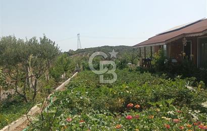 CB İYA DAN TÜRKELLİ DE İÇİNDE EVİ OLAN EŞYALI SATILIK HOBİ BAHÇESİ