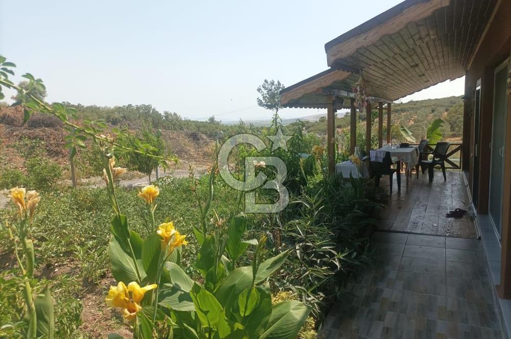 CB İYA DAN TÜRKELLİ DE İÇİNDE EVİ OLAN EŞYALI SATILIK HOBİ BAHÇESİ