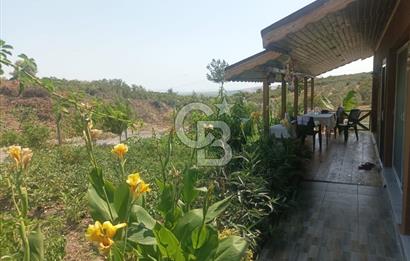 CB İYA DAN TÜRKELLİ DE İÇİNDE EVİ OLAN EŞYALI SATILIK HOBİ BAHÇESİ