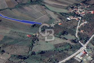 KANDIRA EĞERCİLİ YOLA BİR PARSEL 3228 m2 SATILIK ARAZİ 