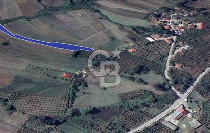 KANDIRA EĞERCİLİ YOLA BİR PARSEL 3228 m2 SATILIK ARAZİ 