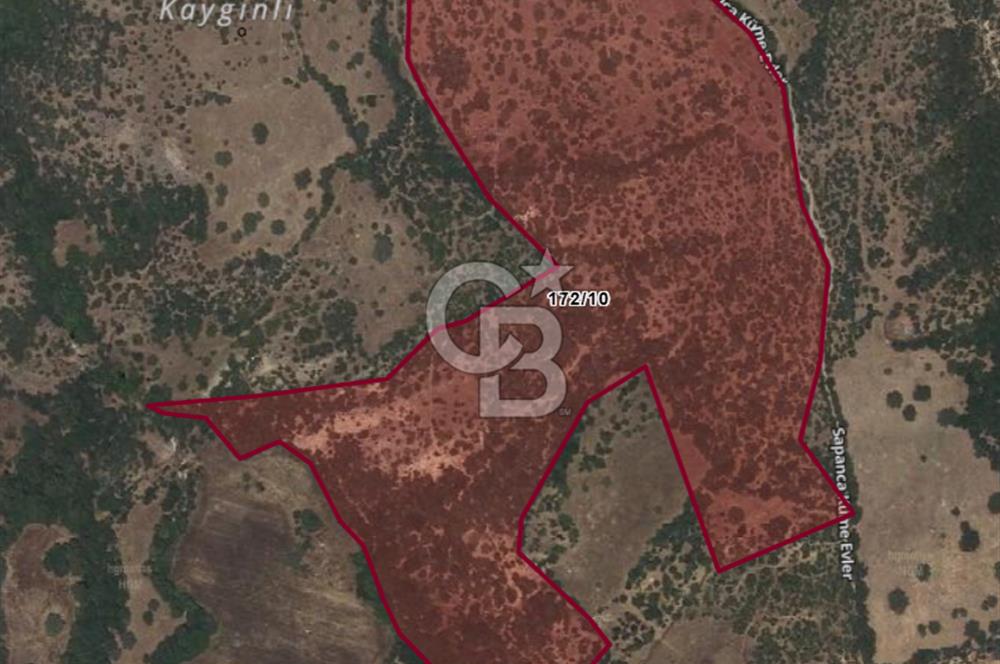 ÇANAKKALE AYVACIK SAPANCA KÖYÜ SATILIK TEK TAPU 84.922 M2 TARLA