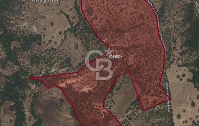 ÇANAKKALE AYVACIK SAPANCA KÖYÜ SATILIK TEK TAPU 84.922 M2 TARLA