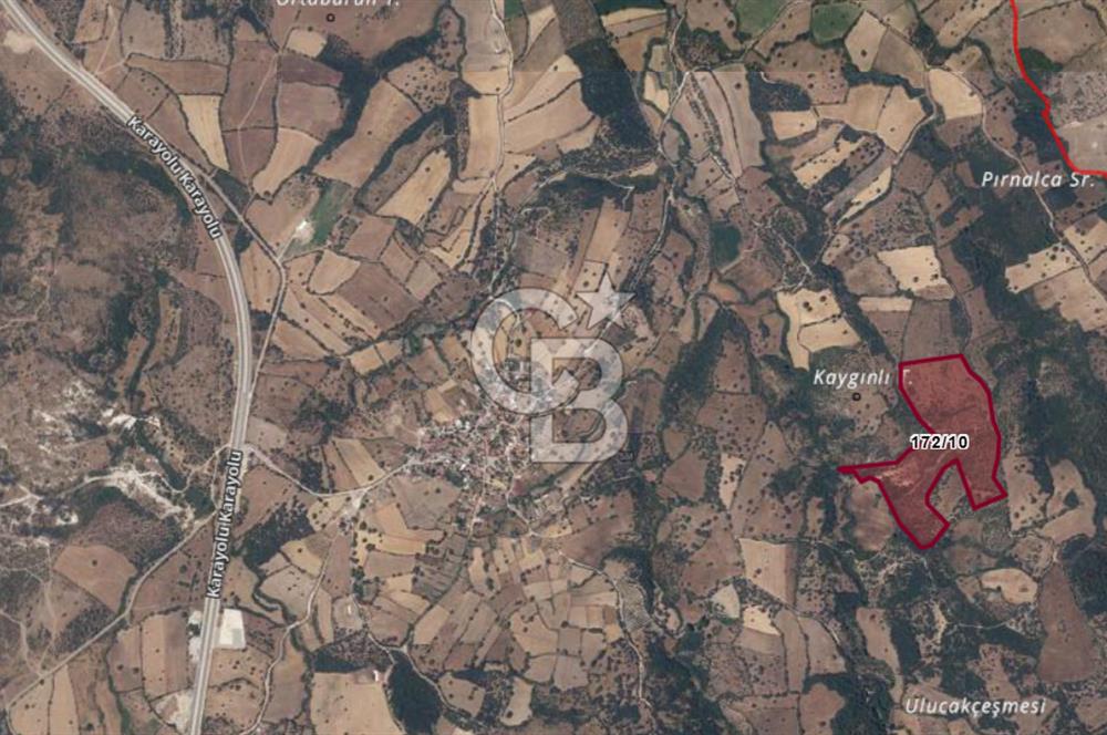 ÇANAKKALE AYVACIK SAPANCA KÖYÜ SATILIK TEK TAPU 84.922 M2 TARLA