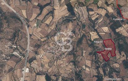 ÇANAKKALE AYVACIK SAPANCA KÖYÜ SATILIK TEK TAPU 84.922 M2 TARLA
