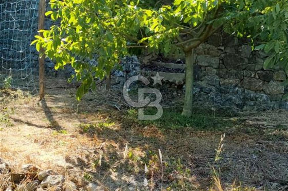 şile kabakoz mahallesinde müstakil parsel konut imarlı 