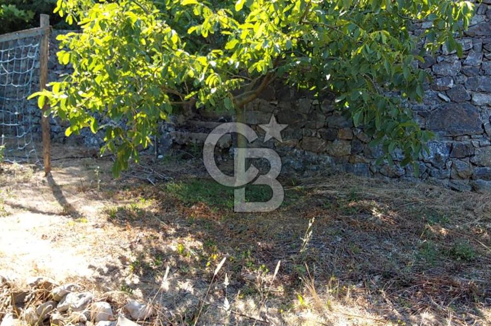 şile kabakoz mahallesinde müstakil parsel konut imarlı 