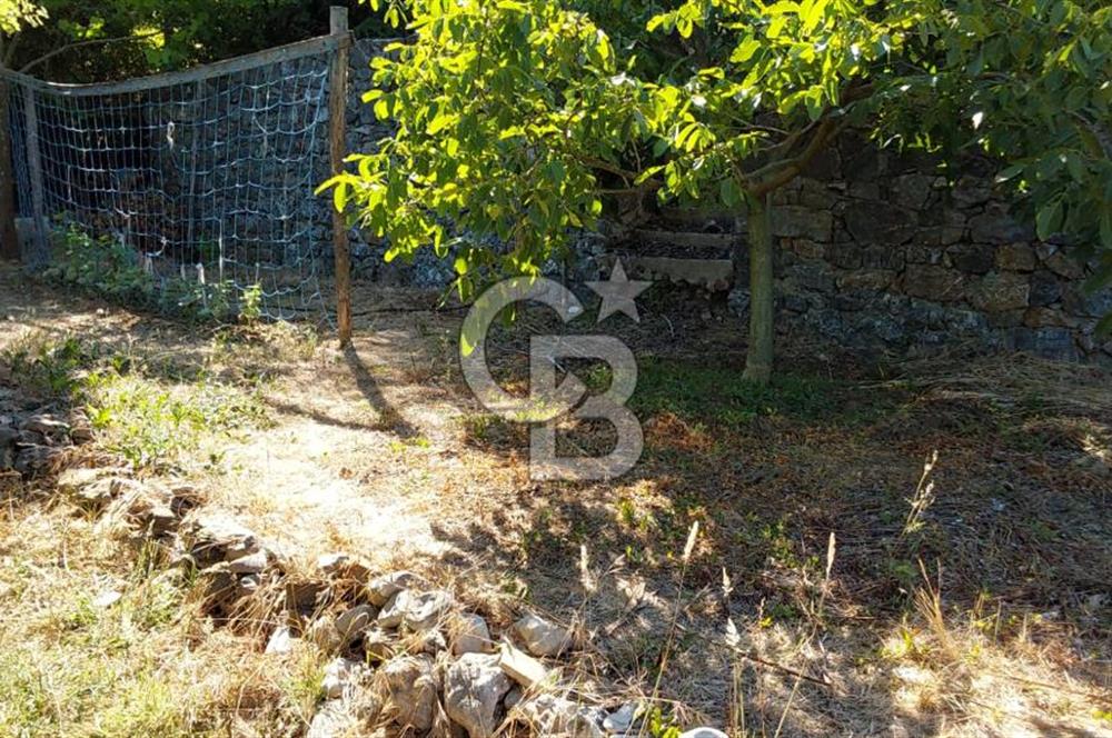 şile kabakoz mahallesinde müstakil parsel konut imarlı 
