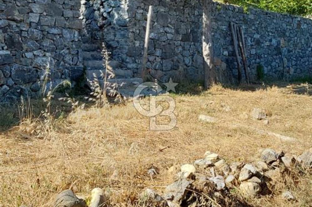 şile kabakoz mahallesinde müstakil parsel konut imarlı 