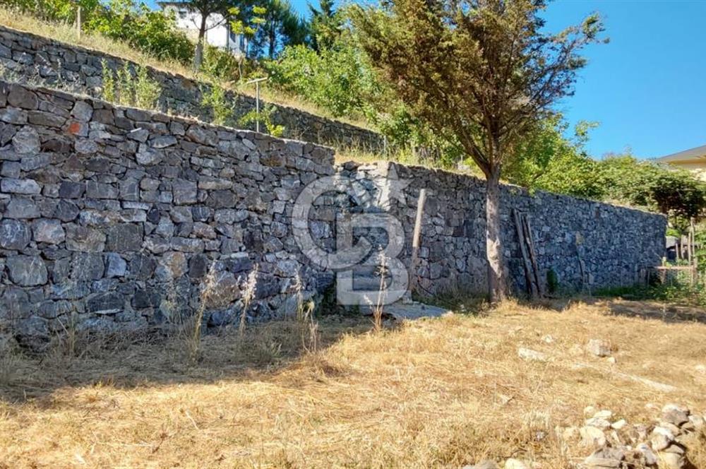 şile kabakoz mahallesinde müstakil parsel konut imarlı 