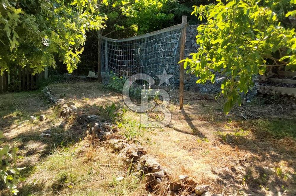 şile kabakoz mahallesinde müstakil parsel konut imarlı 