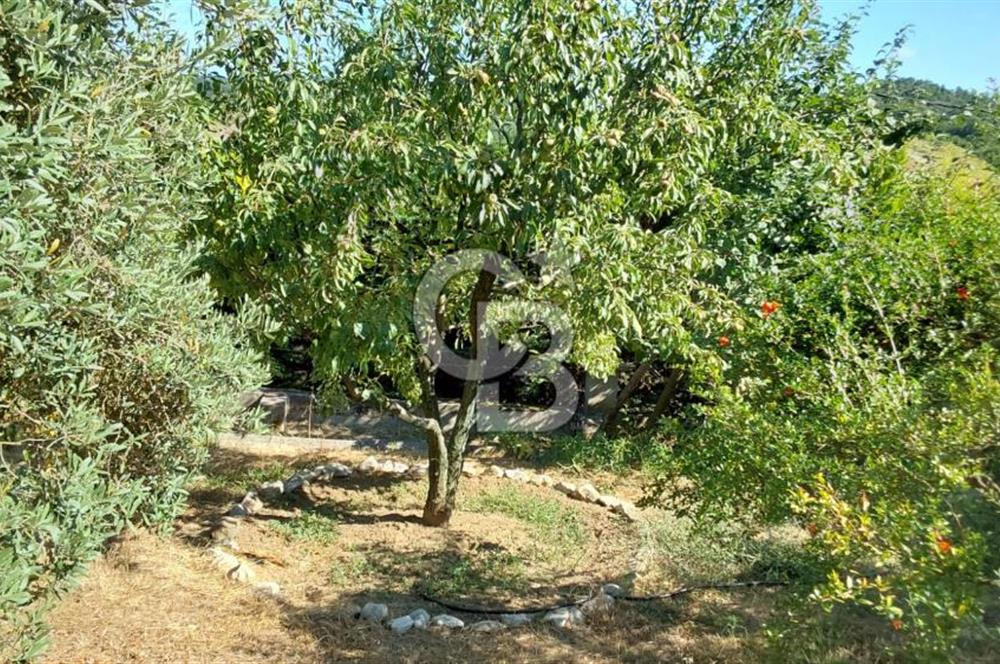 şile kabakoz mahallesinde müstakil parsel konut imarlı 