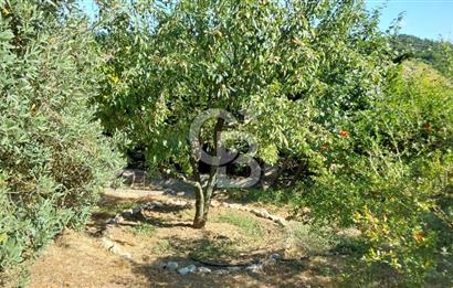 şile kabakoz mahallesinde müstakil parsel konut imarlı 