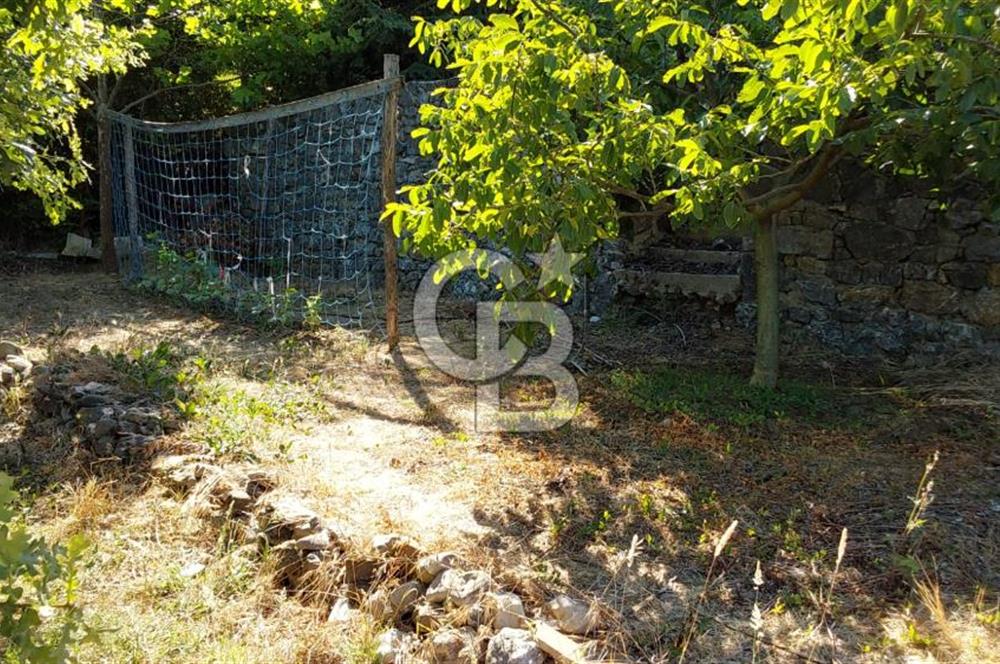 şile kabakoz mahallesinde müstakil parsel konut imarlı 