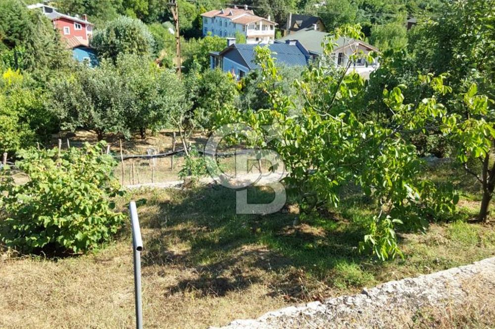 şile kabakoz mahallesinde müstakil parsel konut imarlı 
