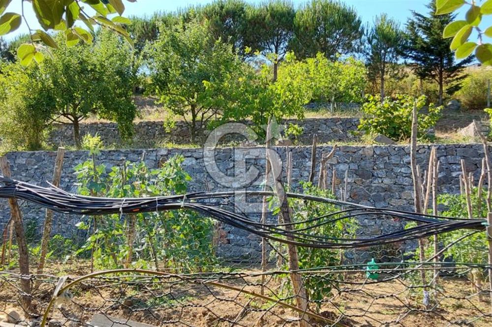 şile kabakoz mahallesinde müstakil parsel konut imarlı 