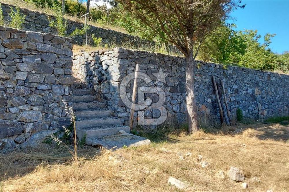 şile kabakoz mahallesinde müstakil parsel konut imarlı 