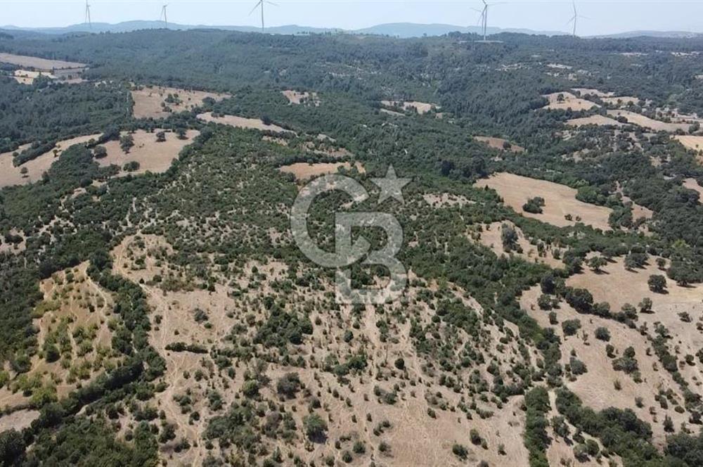 ÇANAKKALE AYVACIK SAPANCA KÖYÜ SATILIK TEK TAPU 84.922 M2 TARLA