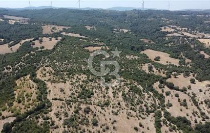 ÇANAKKALE AYVACIK SAPANCA KÖYÜ SATILIK TEK TAPU 84.922 M2 TARLA