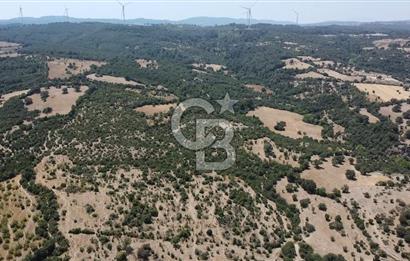 ÇANAKKALE AYVACIK SAPANCA KÖYÜ SATILIK TEK TAPU 84.922 M2 TARLA