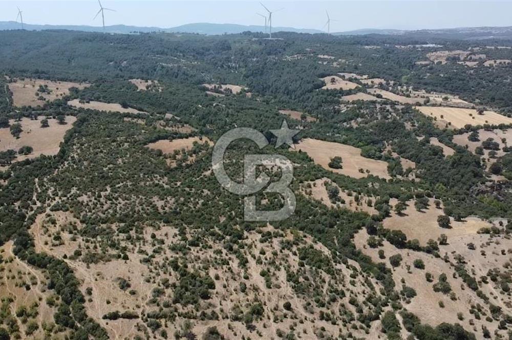 ÇANAKKALE AYVACIK SAPANCA KÖYÜ SATILIK TEK TAPU 84.922 M2 TARLA