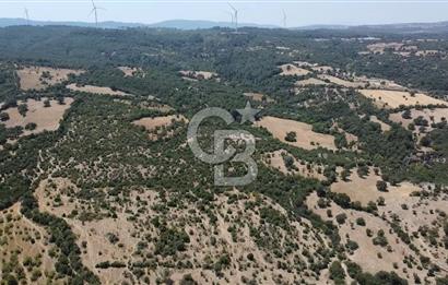 ÇANAKKALE AYVACIK SAPANCA KÖYÜ SATILIK TEK TAPU 84.922 M2 TARLA