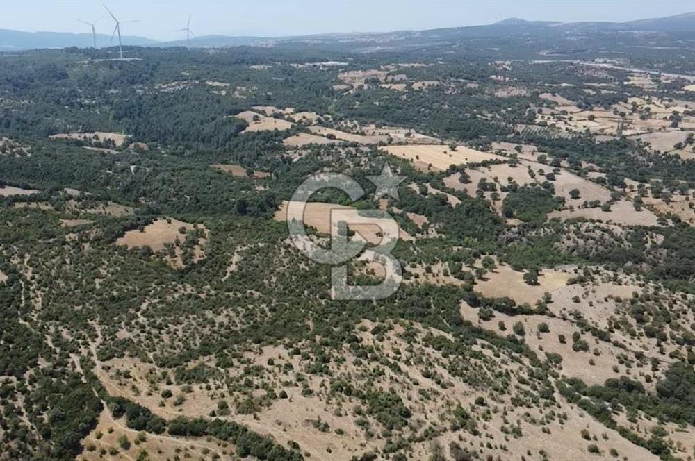 ÇANAKKALE AYVACIK SAPANCA KÖYÜ SATILIK TEK TAPU 84.922 M2 TARLA