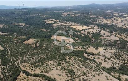 ÇANAKKALE AYVACIK SAPANCA KÖYÜ SATILIK TEK TAPU 84.922 M2 TARLA