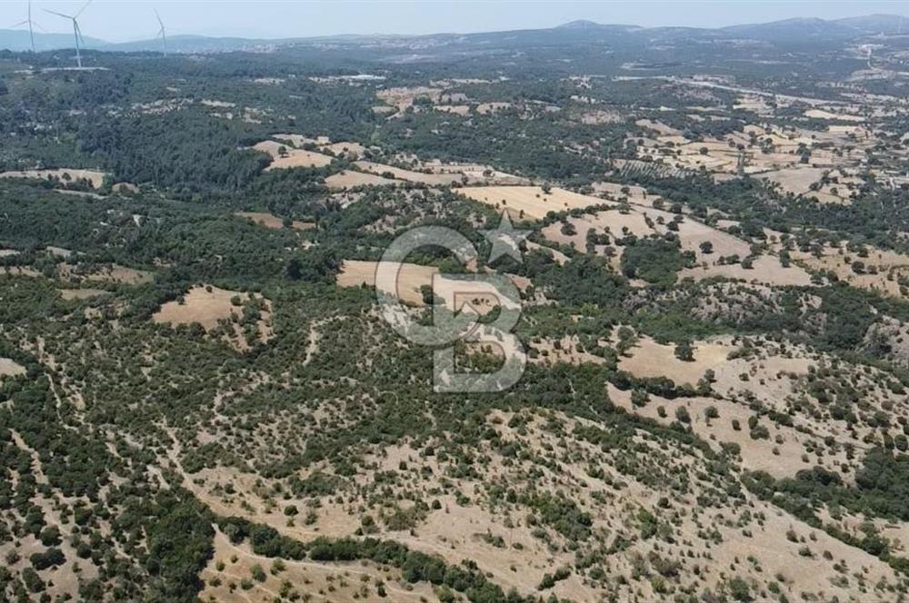 ÇANAKKALE AYVACIK SAPANCA KÖYÜ SATILIK TEK TAPU 84.922 M2 TARLA