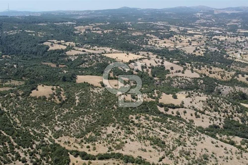 ÇANAKKALE AYVACIK SAPANCA KÖYÜ SATILIK TEK TAPU 84.922 M2 TARLA