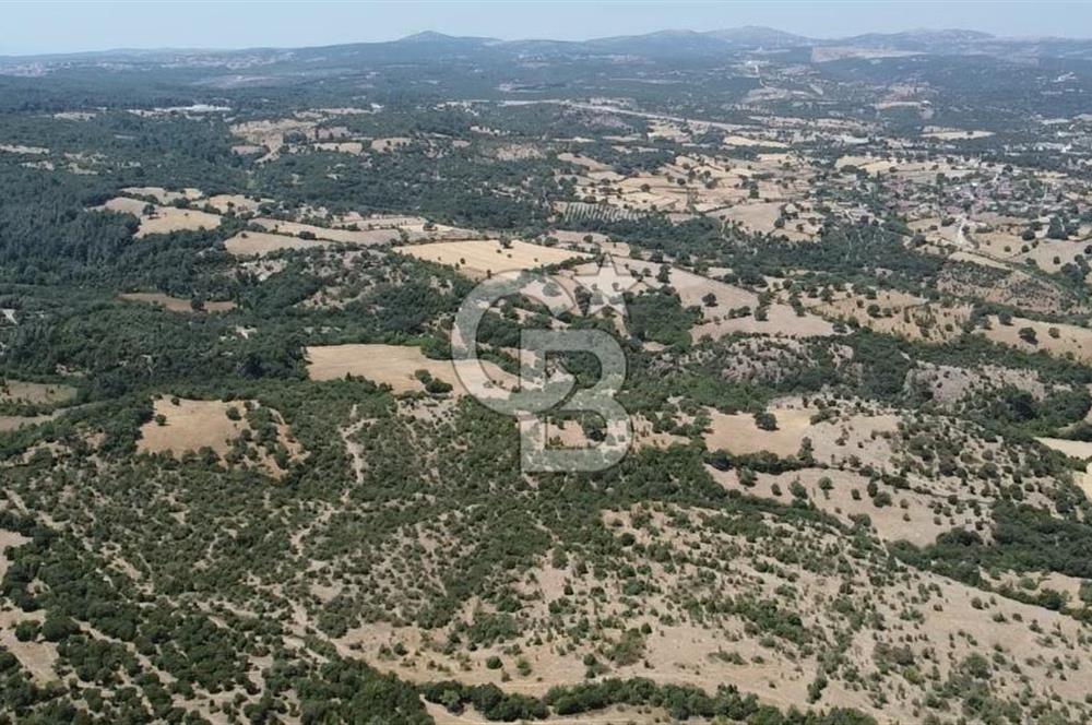 ÇANAKKALE AYVACIK SAPANCA KÖYÜ SATILIK TEK TAPU 84.922 M2 TARLA