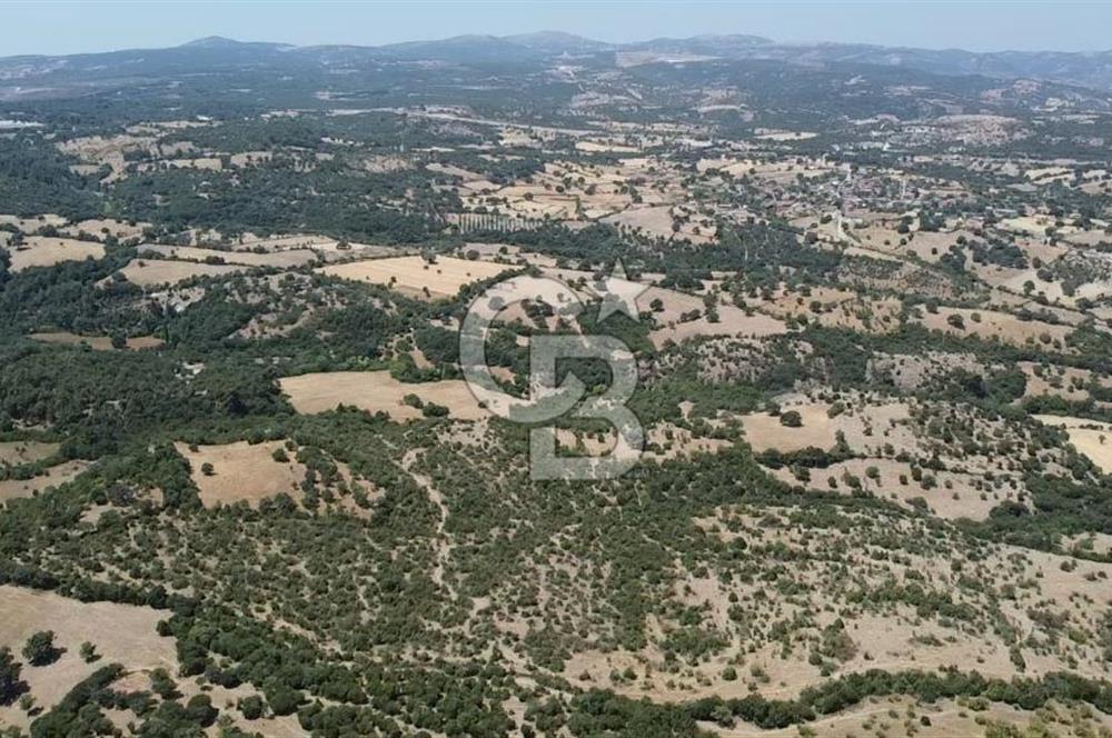 ÇANAKKALE AYVACIK SAPANCA KÖYÜ SATILIK TEK TAPU 84.922 M2 TARLA