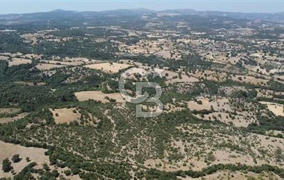 ÇANAKKALE AYVACIK SAPANCA KÖYÜ SATILIK TEK TAPU 84.922 M2 TARLA