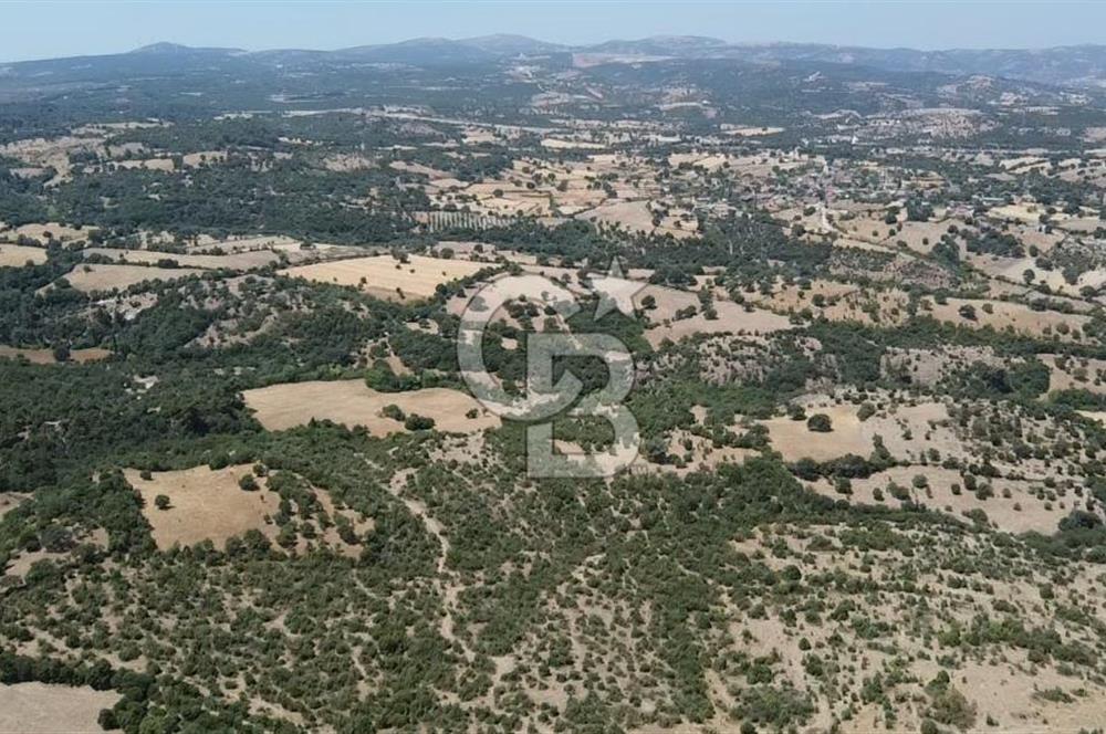 ÇANAKKALE AYVACIK SAPANCA KÖYÜ SATILIK TEK TAPU 84.922 M2 TARLA