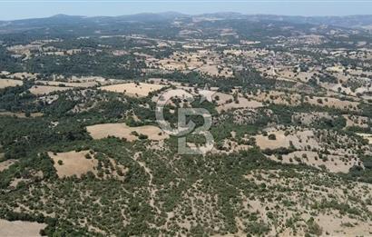 ÇANAKKALE AYVACIK SAPANCA KÖYÜ SATILIK TEK TAPU 84.922 M2 TARLA