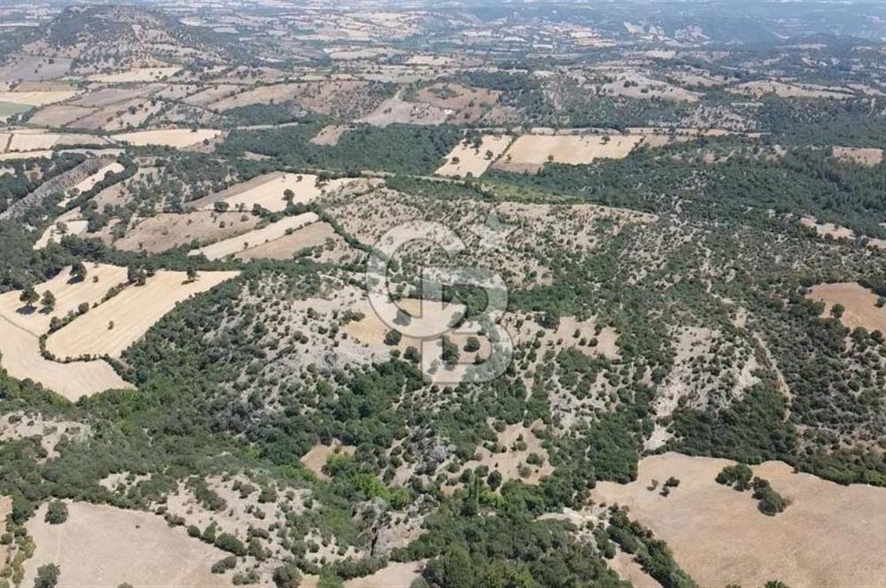 ÇANAKKALE AYVACIK SAPANCA KÖYÜ SATILIK TEK TAPU 84.922 M2 TARLA