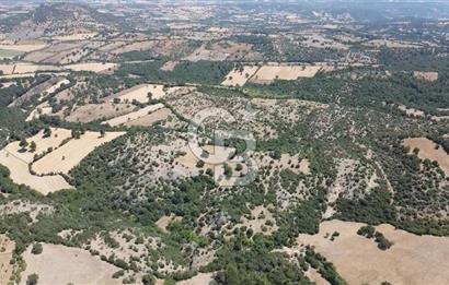 ÇANAKKALE AYVACIK SAPANCA KÖYÜ SATILIK TEK TAPU 84.922 M2 TARLA