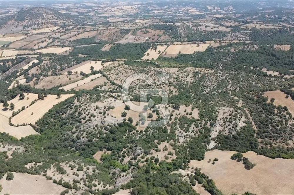 ÇANAKKALE AYVACIK SAPANCA KÖYÜ SATILIK TEK TAPU 84.922 M2 TARLA