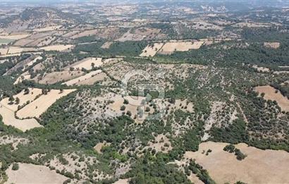 ÇANAKKALE AYVACIK SAPANCA KÖYÜ SATILIK TEK TAPU 84.922 M2 TARLA